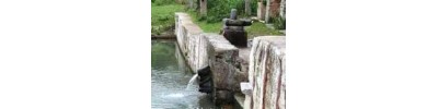242. திருக்குரங்கணின்முட்டம்